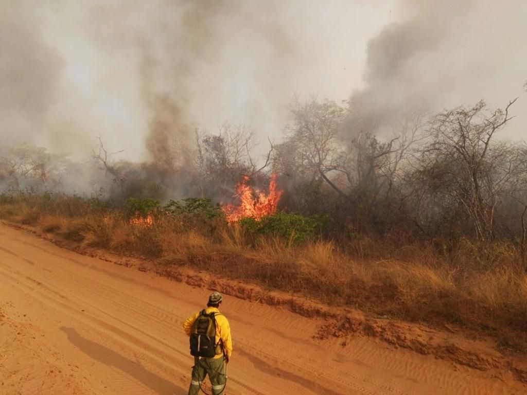 Queimada de vegetação ao lado de uma estrada de terra, com um brigadista observando o fogo